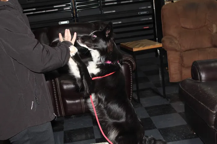 Steele's Heating & Air Conditioning Picture 2