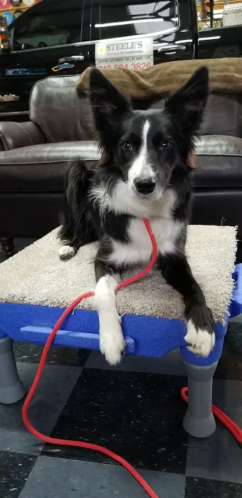 Steele's Heating & Air Conditioning Picture 1