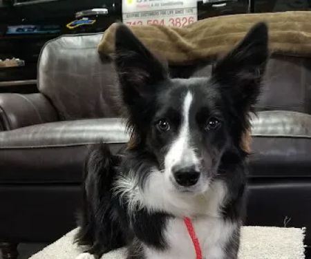 Steele's Heating & Air Conditioning