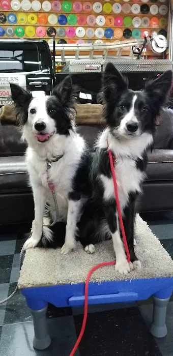 Steele's Heating & Air Conditioning Picture 6