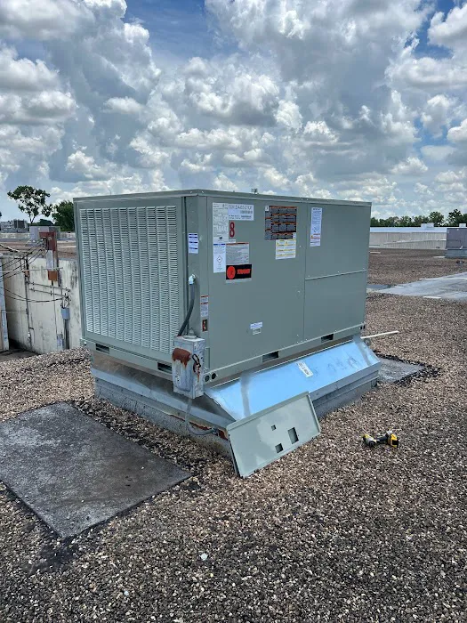 Champion and Nash Picture 10