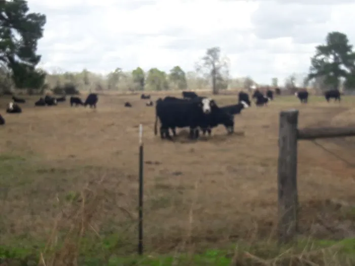 Houston Air Conditioning & Heating Picture 2