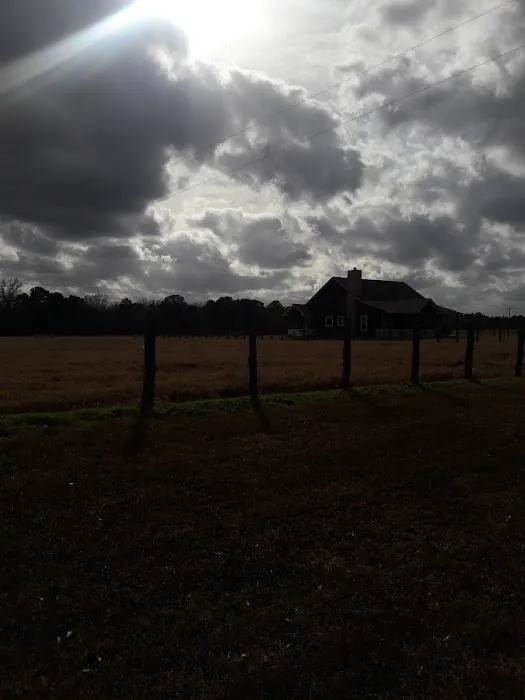 Houston Air Conditioning & Heating Picture 1