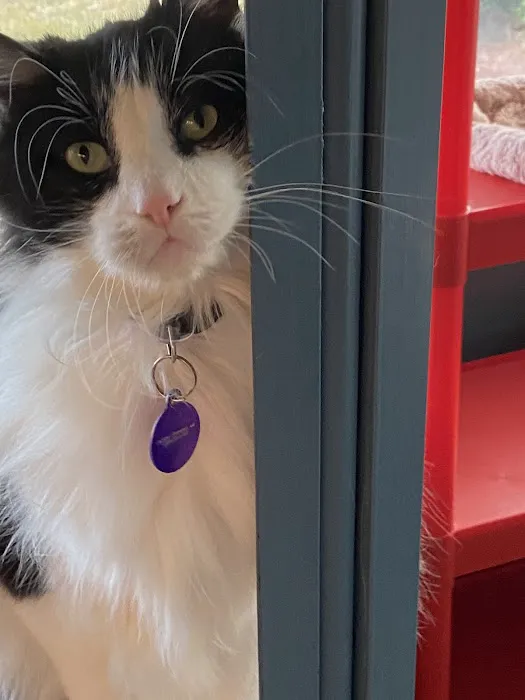 AirGirl AC and Heating Picture 6