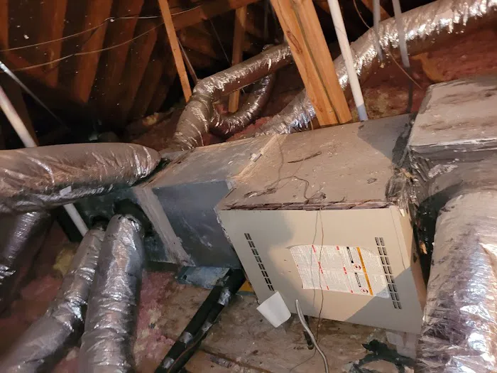 TemperaturePro Katy-Cypress Picture 10