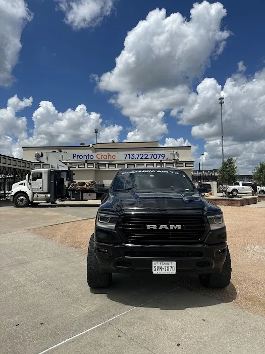 Platinum Air Picture 6