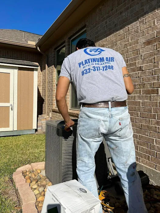 Platinum Air Picture 7