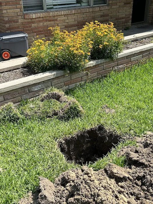 Ozark Services Picture 1