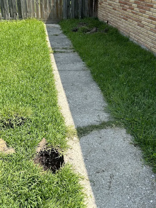 Ozark Services Picture 5