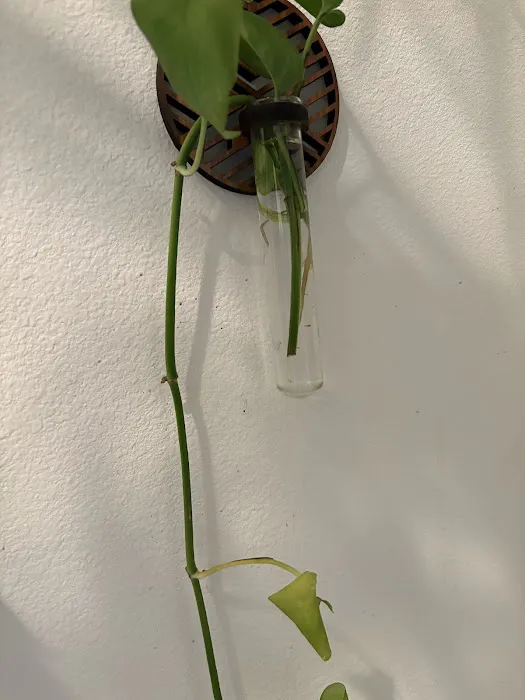 Ozark Services Picture 9