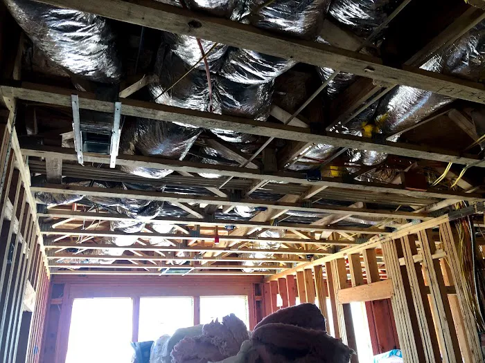 Gentle Air Picture 7