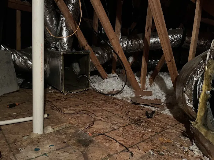 SA Specialties Houston Picture 1