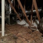 SA Specialties Houston