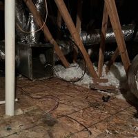 SA Specialties Houston ico