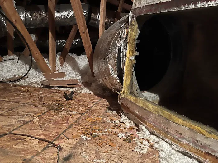 SA Specialties Houston Picture 3