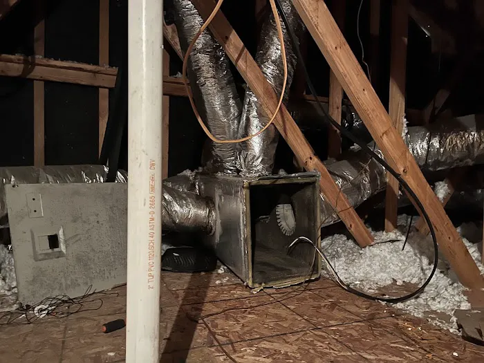 SA Specialties Houston Picture 2