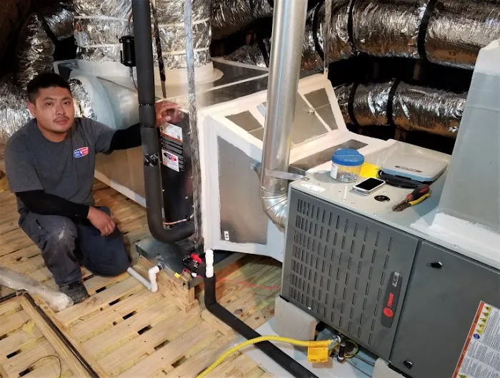 Doctor Cool & Professor Heat Picture 6