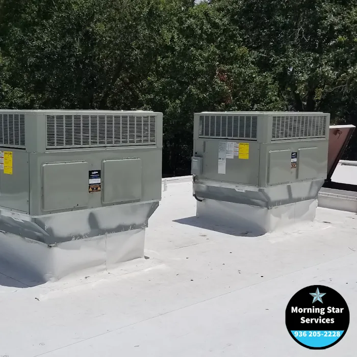 Morning Star Services Picture 6