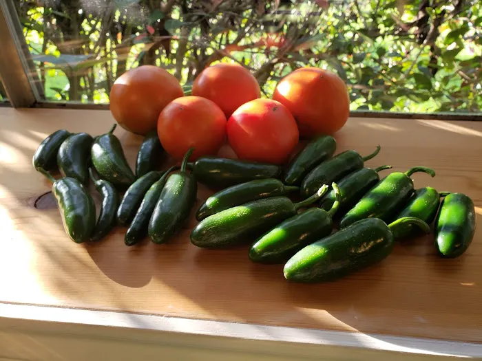 Mr. Chill Heating & Air, Inc. Picture 6