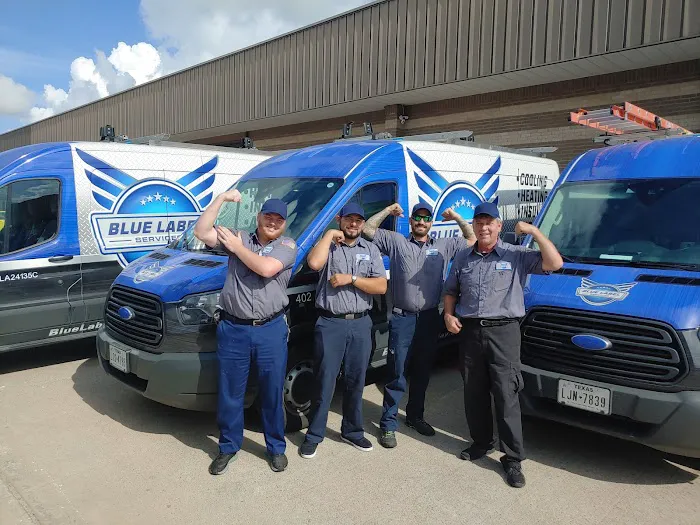 Blue Label Services Picture 6