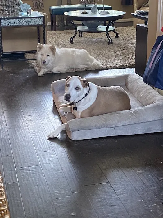 Harris Heat & Air Picture 7