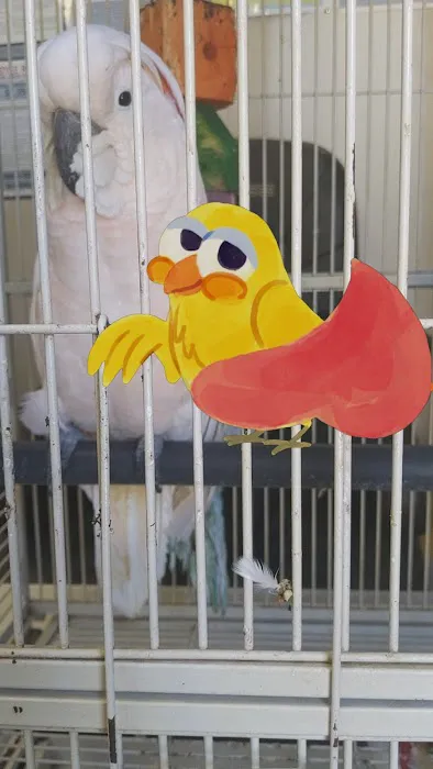 Masram Mechanical LP Picture 5