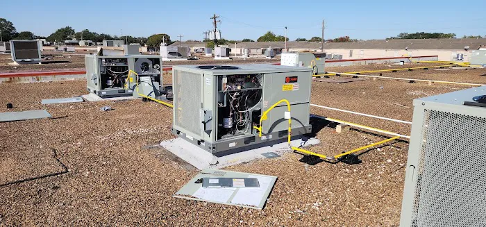 Roman Cavalry Comfort Picture 1