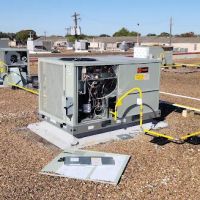 Roman Cavalry Comfort ico