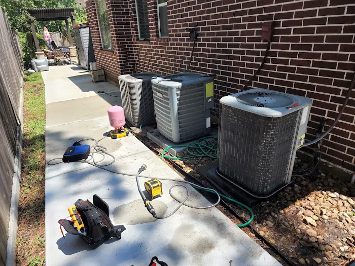 Roman Cavalry Comfort Picture 3