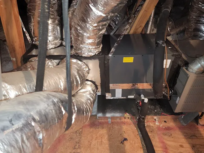 Roman Cavalry Comfort Picture 5