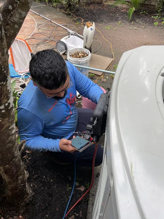 Roman Cavalry Comfort Picture 10