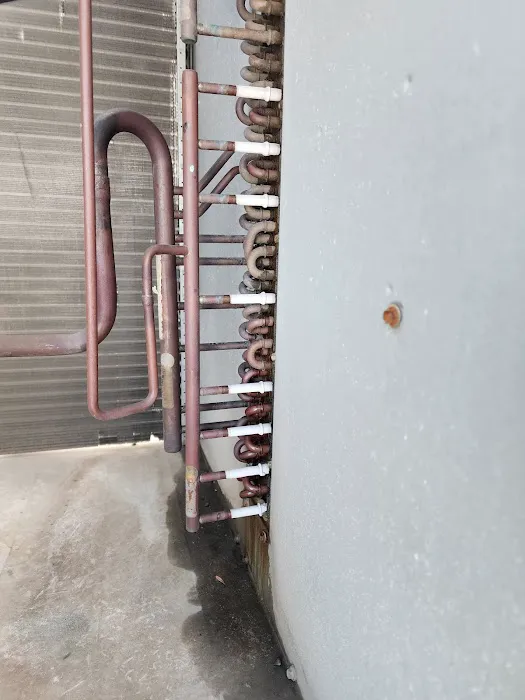 Roman Cavalry Comfort Picture 9