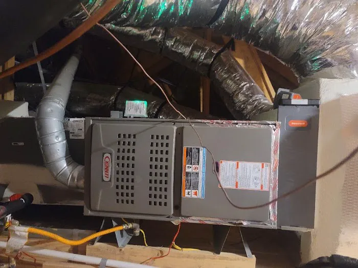 Roman Cavalry Comfort Picture 7