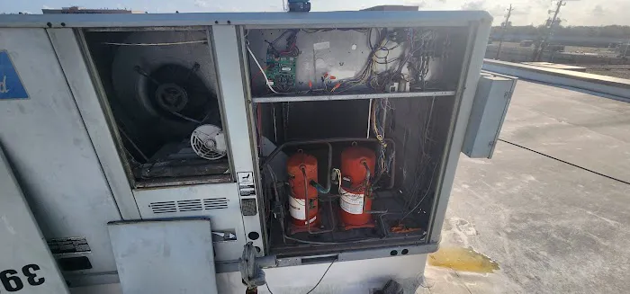 Roman Cavalry Comfort Picture 8