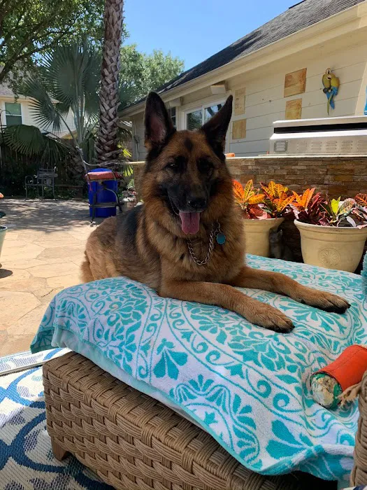 Air Tech of Katy Picture 9