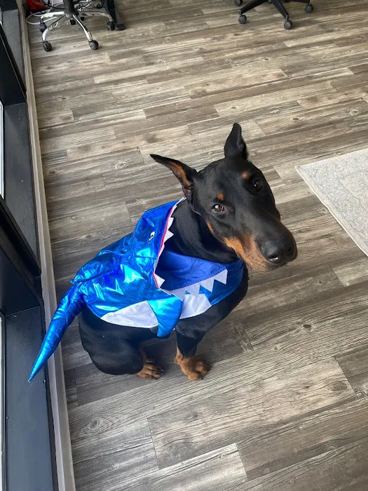 Tradition Services Picture 6