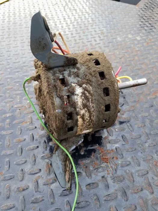 BICC Approved Picture 4