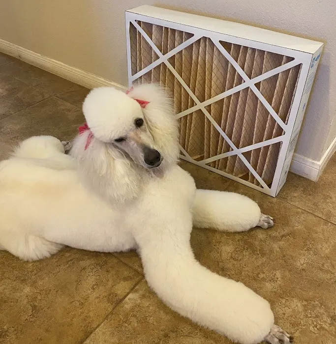 Custom Comfort Air Picture 10