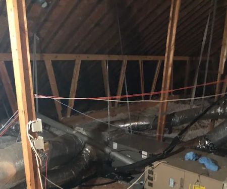 Climate Services of Texas