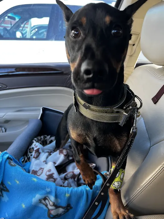 Luxury Air Picture 1