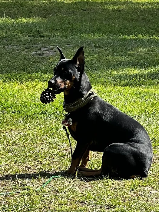 Luxury Air Picture 6