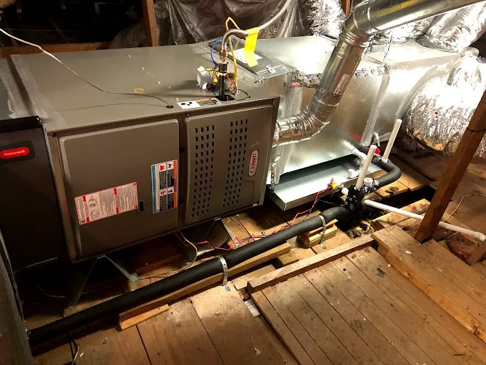 David's Same Day Services Inc. Picture 10