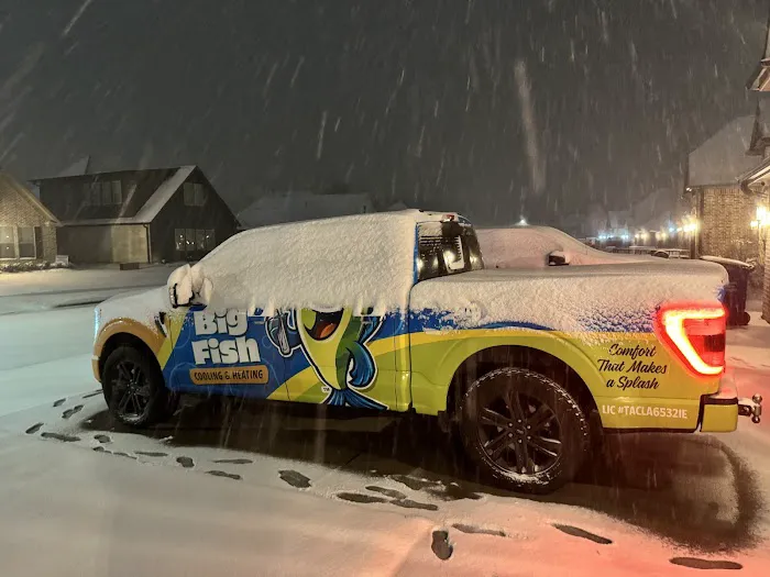 Big Fish Cooling & Heating Picture 4