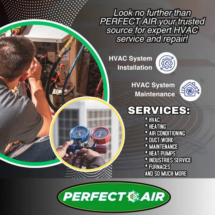 Perfect Air Picture 5