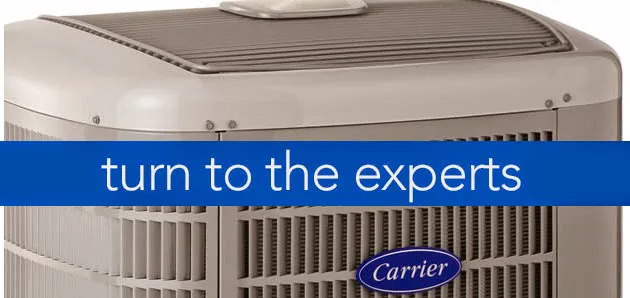 All Around Service & Maintenance Picture 8