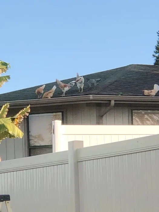 D&L Air Duct Services Picture 1