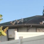 D&L Air Duct Services