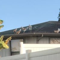 D&L Air Duct Services ico