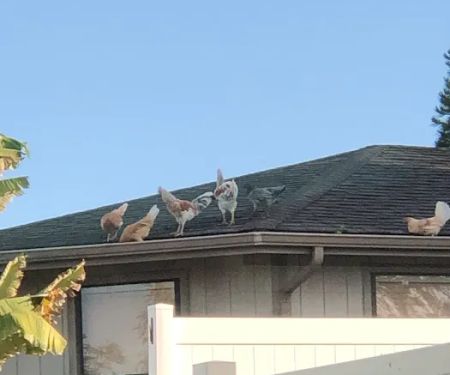 D&L Air Duct Services