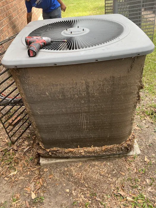 Chavis Air Picture 4